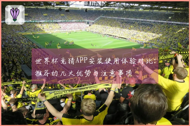 世界杯竞猜APP安装使用体验对比：推荐的几大优势与注意事项