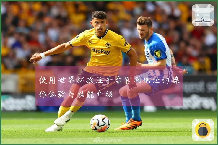 使用世界杯投注平台官网地址的操作体验与功能介绍