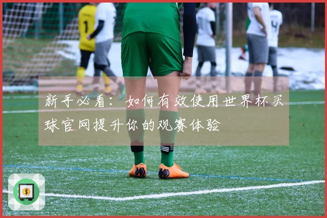新手必看：如何有效使用世界杯买球官网提升你的观赛体验