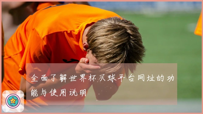 全面了解世界杯买球平台网址的功能与使用说明