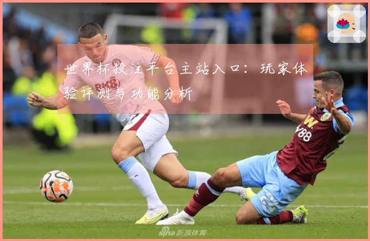 世界杯投注平台主站入口:玩家体验评测与功能分析