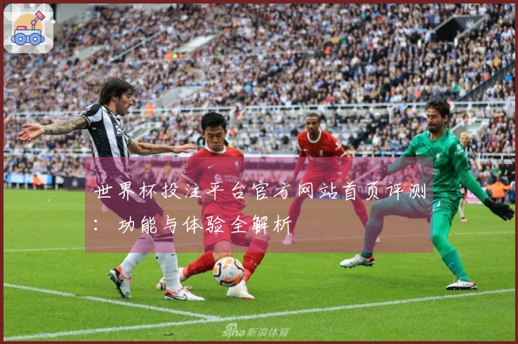 世界杯投注平台官方网站首页评测：功能与体验全解析