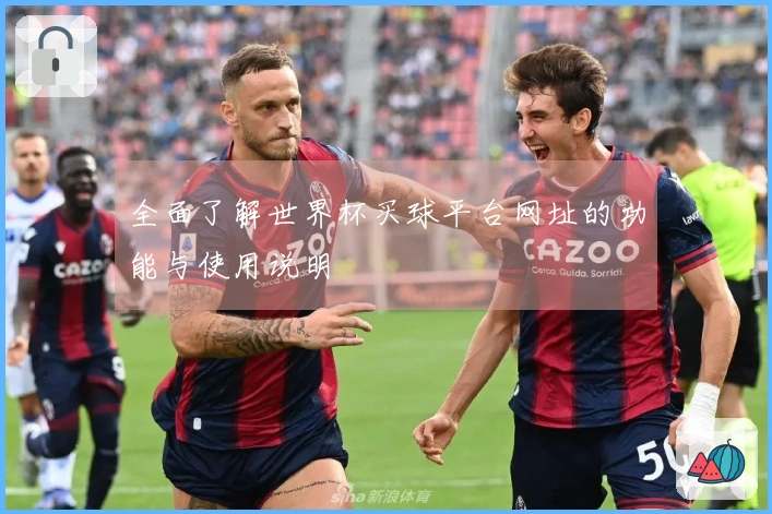 全面了解世界杯买球平台网址的功能与使用说明