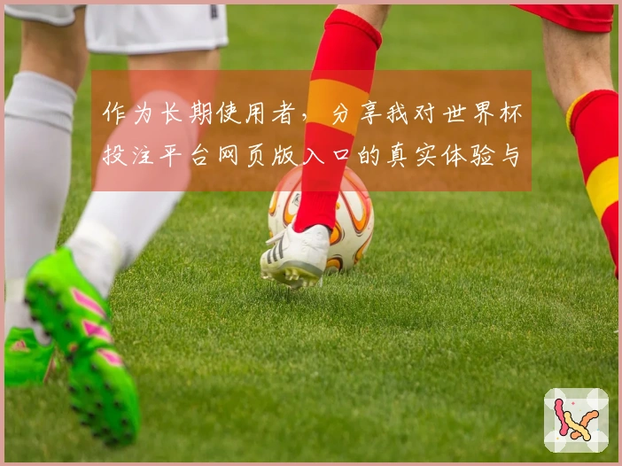 作为长期使用者，分享我对世界杯投注平台网页版入口的真实体验与建议