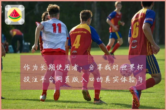 作为长期使用者，分享我对世界杯投注平台网页版入口的真实体验与建议