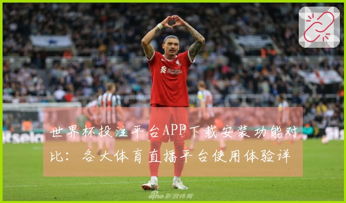 世界杯投注平台APP下载安装功能对比：各大体育直播平台使用体验详解