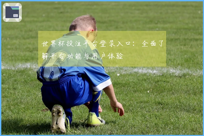 世界杯投注平台登录入口：全面了解平台功能与用户体验