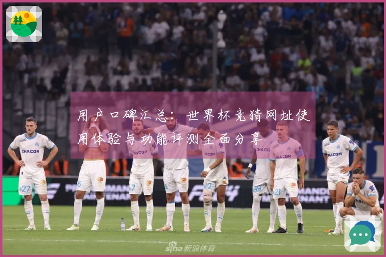 用户口碑汇总：世界杯竞猜网址使用体验与功能评测全面分享