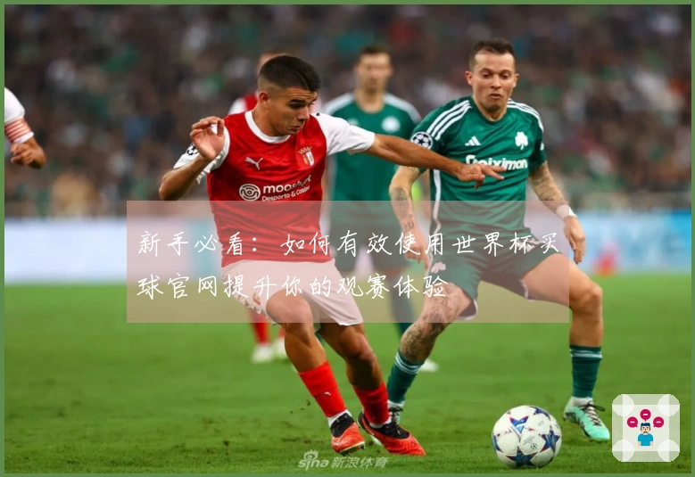 新手必看：如何有效使用世界杯买球官网提升你的观赛体验